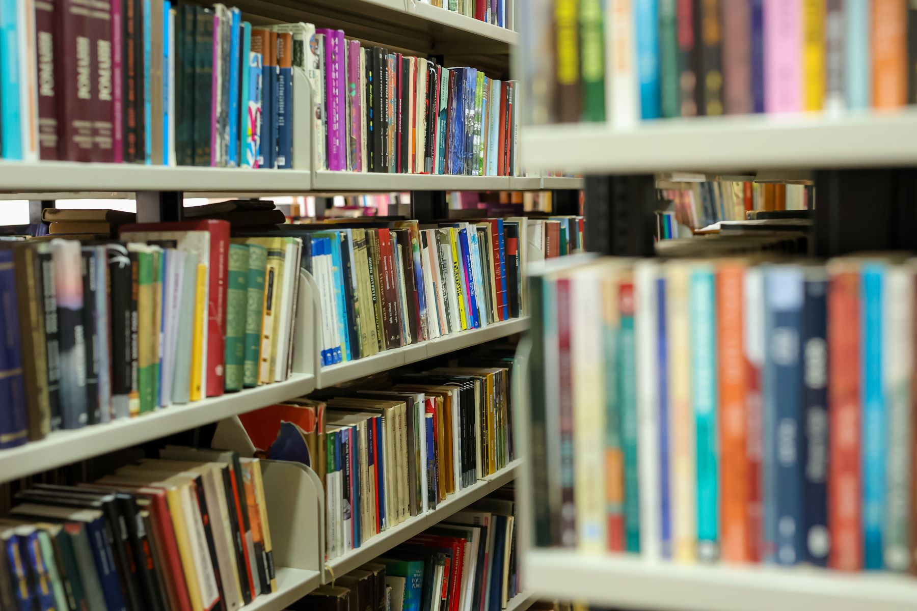 Odeljenje: Odelj.-Književnost za odrasle